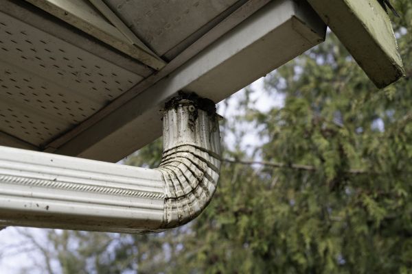 Cost of Roof Drain Replacement in Collierville